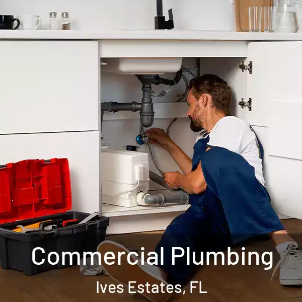  Commercial Plumbing Ives Estates, FL