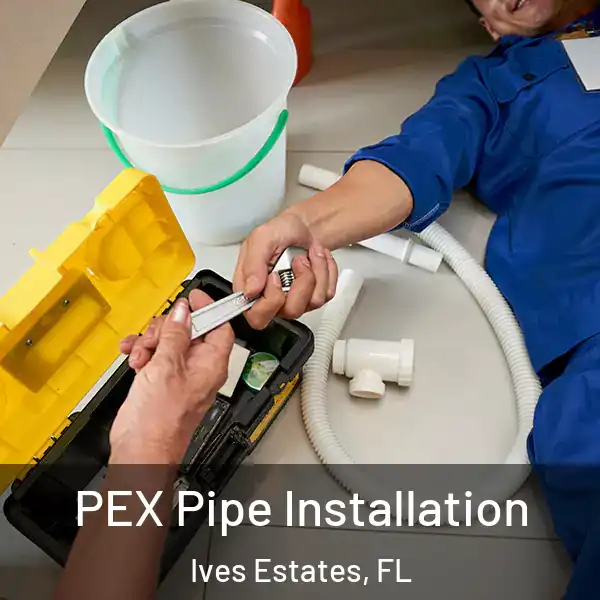  PEX Pipe Installation Ives Estates, FL